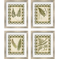 Framed 'Moroccan Ferns  4 Piece Framed Art Print Set' border=