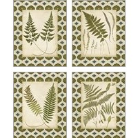 Framed 'Moroccan Ferns  4 Piece Art Print Set' border=