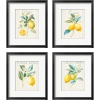 Framed 'Floursack Lemon 4 Piece Framed Art Print Set' border=