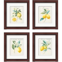 Framed Floursack Lemon 4 Piece Framed Art Print Set