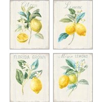 Framed 'Floursack Lemon 4 Piece Art Print Set' border=