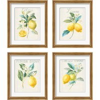 Framed 'Floursack Lemon 4 Piece Framed Art Print Set' border=