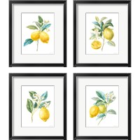 Framed 'Floursack Lemon on White 4 Piece Framed Art Print Set' border=