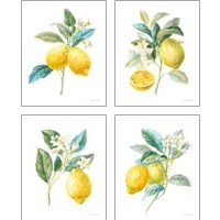 Framed 'Floursack Lemon on White 4 Piece Art Print Set' border=