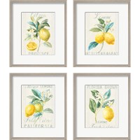Framed Floursack Lemon 4 Piece Framed Art Print Set