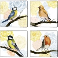 Framed Mandala Bird 4 Piece Canvas Print Set