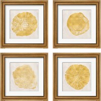 Framed Tree Stump Golden 4 Piece Framed Art Print Set