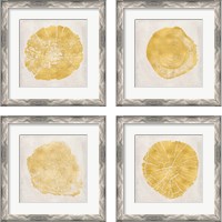 Framed 'Tree Stump Golden 4 Piece Framed Art Print Set' border=