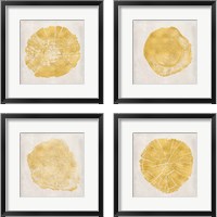Framed 'Tree Stump Golden 4 Piece Framed Art Print Set' border=