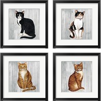 Framed Country Kitty on Wood 4 Piece Framed Art Print Set
