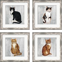 Framed 'Country Kitty on Wood 4 Piece Framed Art Print Set' border=