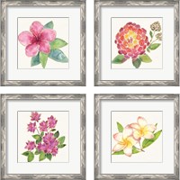 Framed 'Tropical Fun Flowers 4 Piece Framed Art Print Set' border=