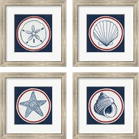 Framed 'Summer Shells Nautical 4 Piece Framed Art Print Set' border=