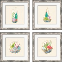 Framed 'Succulent Terrarium 4 Piece Framed Art Print Set' border=
