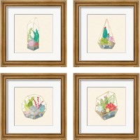 Framed 'Succulent Terrarium 4 Piece Framed Art Print Set' border=