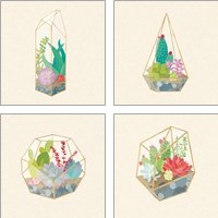 Framed 'Succulent Terrarium 4 Piece Art Print Set' border=