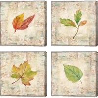 Framed Nature Walk Leaves 4 Piece Canvas Print Set