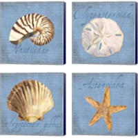 Framed 'Oceanum Shells Blue 4 Piece Canvas Print Set' border=