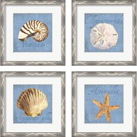 Framed 'Oceanum Shells Blue 4 Piece Framed Art Print Set' border=