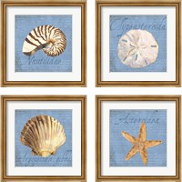 Framed 'Oceanum Shells Blue 4 Piece Framed Art Print Set' border=