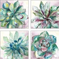 Framed Succulent Watercolor  4 Piece Art Print Set