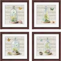 Framed 'Succulent Garden 4 Piece Framed Art Print Set' border=