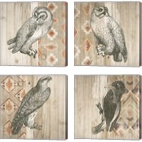 Framed 'Natural History Lodge Southwest 4 Piece Canvas Print Set' border=