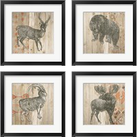 Framed Natural History Lodge Southwest 4 Piece Framed Art Print Set