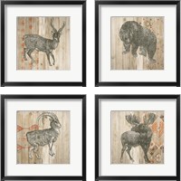 Framed Natural History Lodge Southwest 4 Piece Framed Art Print Set