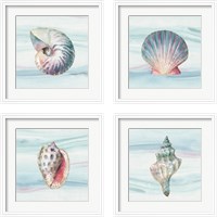 Framed Ocean Dream no Filigree 4 Piece Framed Art Print Set