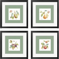 Framed 'Orchard Bloom Border 4 Piece Framed Art Print Set' border=