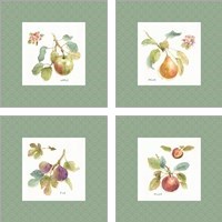Framed 'Orchard Bloom Border 4 Piece Art Print Set' border=