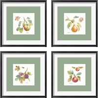 Framed Orchard Bloom Border 4 Piece Framed Art Print Set