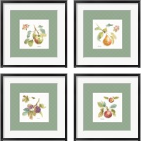 Framed 'Orchard Bloom Border 4 Piece Framed Art Print Set' border=