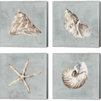 Framed 'Sand and Seashells  4 Piece Canvas Print Set' border=