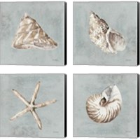 Framed 'Sand and Seashells  4 Piece Canvas Print Set' border=