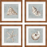Framed 'Sand and Seashells  4 Piece Framed Art Print Set' border=