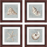 Framed Sand and Seashells  4 Piece Framed Art Print Set