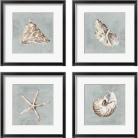 Framed Sand and Seashells  4 Piece Framed Art Print Set