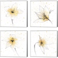 Framed 'Gilded Graphite Floral 4 Piece Canvas Print Set' border=