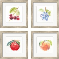 Framed 'Garden Delight 4 Piece Framed Art Print Set' border=