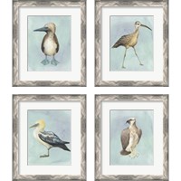 Framed 'Watercolor Beach Bird 4 Piece Framed Art Print Set' border=