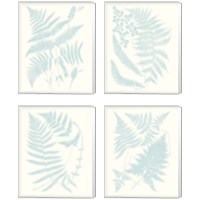 Framed 'Serene Ferns 4 Piece Canvas Print Set' border=