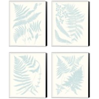 Framed Serene Ferns 4 Piece Canvas Print Set