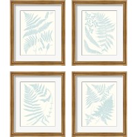 Framed 'Serene Ferns 4 Piece Framed Art Print Set' border=