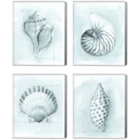 Framed 'Coastal Shell Schematic 4 Piece Canvas Print Set' border=