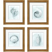 Framed Coastal Shell Schematic 4 Piece Framed Art Print Set