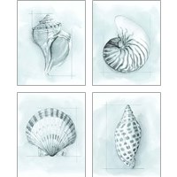 Framed Coastal Shell Schematic 4 Piece Art Print Set