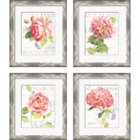 Framed 'Maison Des Fleurs 4 Piece Framed Art Print Set' border=