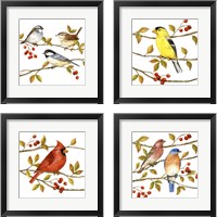 Framed 'Birds & Berries 4 Piece Framed Art Print Set' border=
